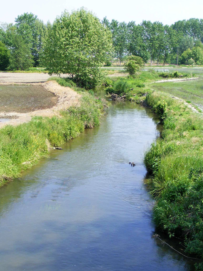 Roggia_stura_in_comune_di_morano_po