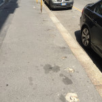2015-07-05_Melzo_Spallanzani_4