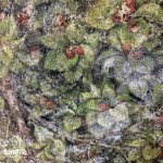 2014-10-02 Sala delel Asse 16