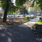 2015-11-08_Gorini_7