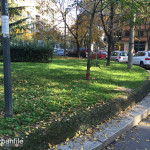 2015-11-08_Gorini_8