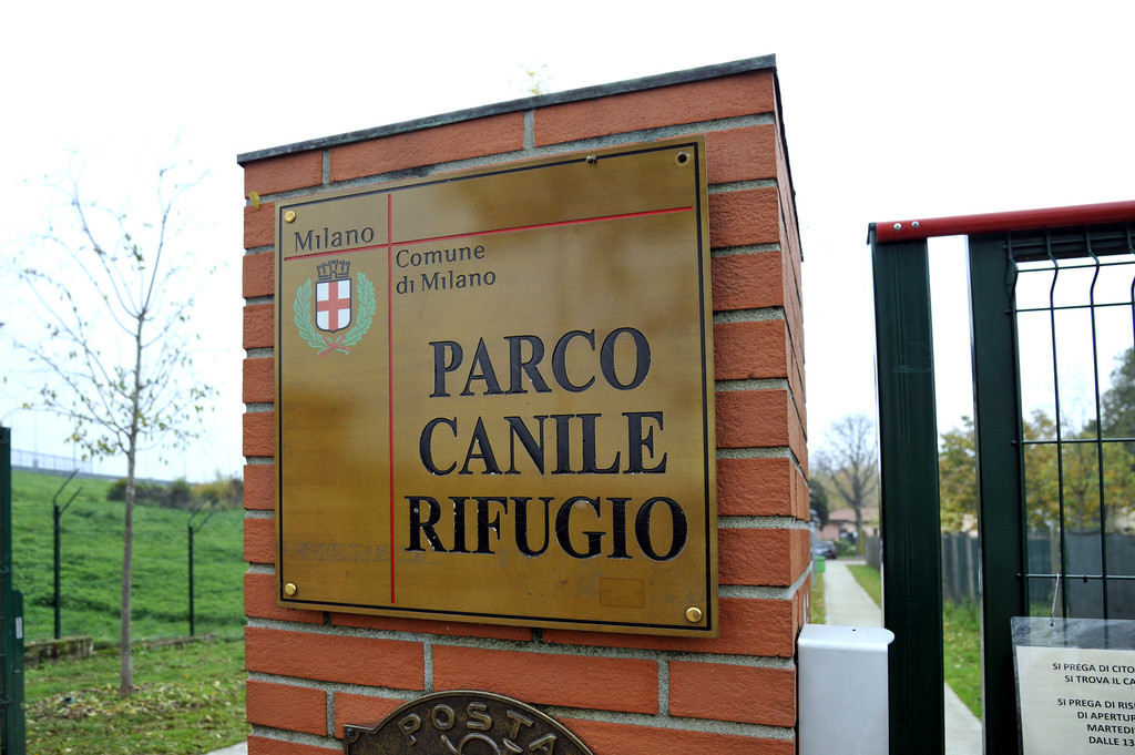 2015-11-16_Parco_Canile_3