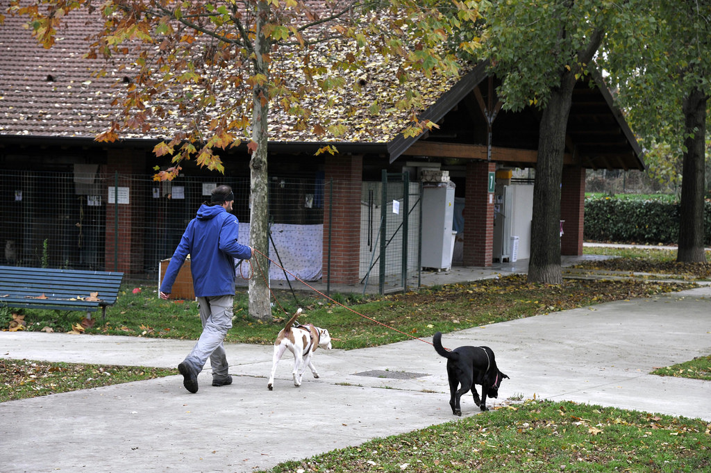 2015-11-16_Parco_Canile_5