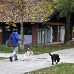 2015-11-16_Parco_Canile_5
