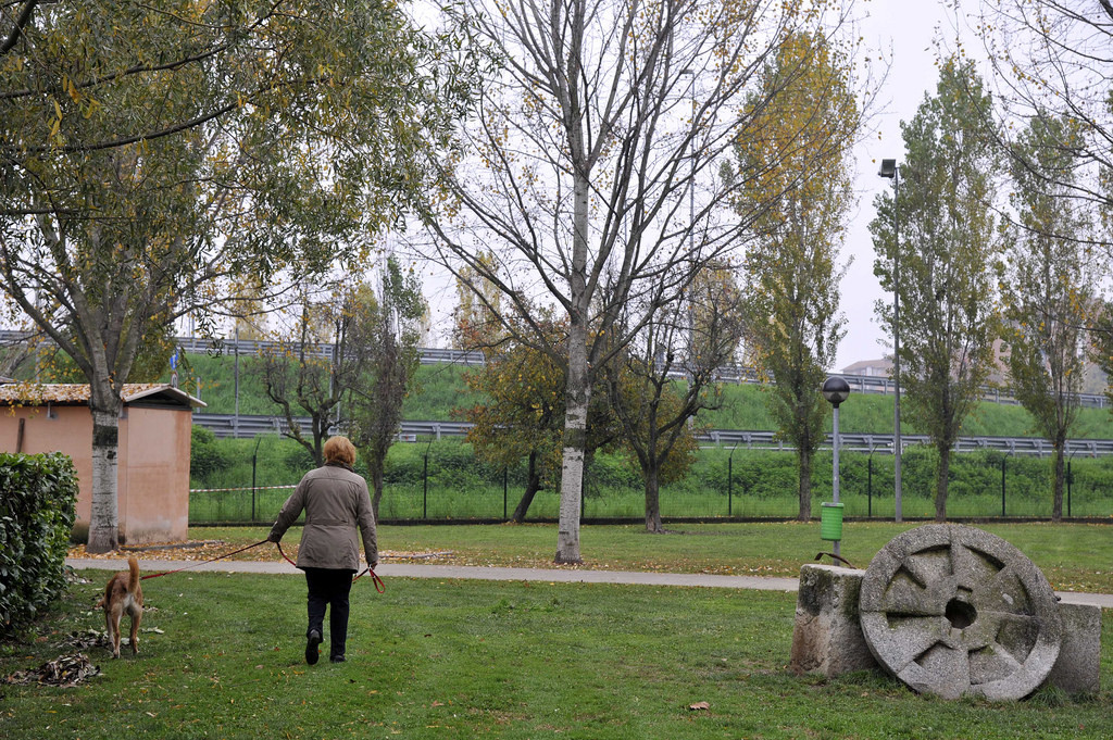 2015-11-16_Parco_Canile_6