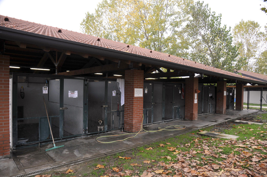 2015-11-16_Parco_Canile_8
