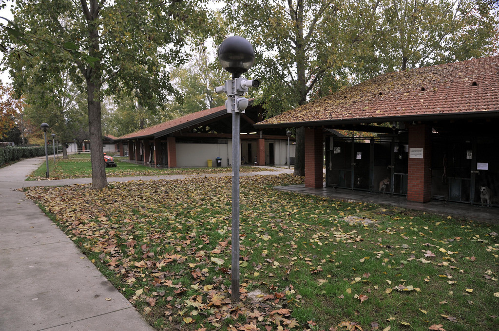 2015-11-16_Parco_Canile_9