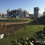 2015-12-30_Parco_Portello_10