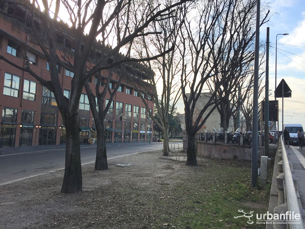 2016-01-20_Ripa_Porta_Ticinese_Alberi_1