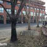 2016-01-20_Ripa_Porta_Ticinese_Alberi_2
