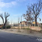 2016-01-20_Ripa_Porta_Ticinese_Alberi_6