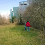 2016-01-21_Parco_Forlanini_15