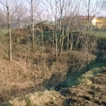 2016-01-21_Parco_Forlanini_2