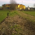 2016-01-21_Parco_Forlanini_9