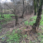 2016-02-29_ROssi_Parenzo_19