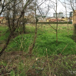 2016-02-29_ROssi_Parenzo_20