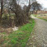 2016-02-29_ROssi_Parenzo_23