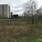 2016-02-29_ROssi_Parenzo_26
