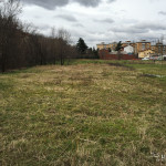 2016-02-29_ROssi_Parenzo_28