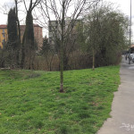 2016-02-29_ROssi_Parenzo_3