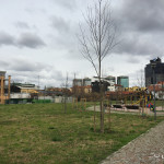 2016-02-29_ROssi_Parenzo_30