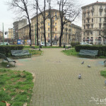 2016-03-06_Piazza_Ascoli_3