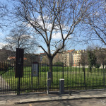 2016-03-17_Parco_Anfiteatro_Romano_19