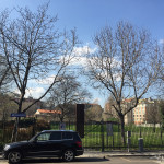 2016-03-17_Parco_Anfiteatro_Romano_20