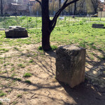 2016-03-17_Parco_Anfiteatro_Romano_6