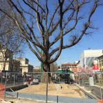 2016-03-19_Porta_Venezia_Arredo_36