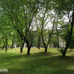 2016-05-02_Parco_Teramo_29