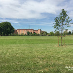 2016-05-02_Parco_Teramo_35