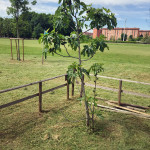 2016-05-02_Parco_Teramo_37