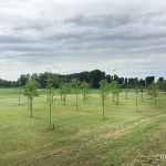 2016-05-02_Parco_Teramo_44