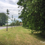 2016-05-02_Parco_Teramo_45
