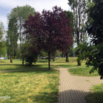2016-05-02_Parco_Teramo_48