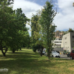 2016-05-02_Parco_Teramo_49