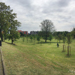 2016-05-02_Parco_Teramo_5