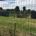 2016-05-02_Parco_Teramo_6