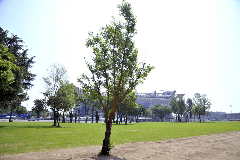 2016-05-27_San_Siro_Axum_Parco_10