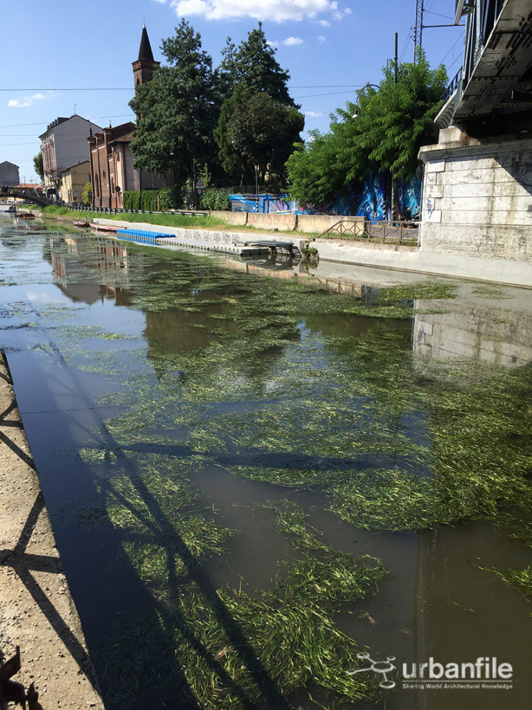2016-09-07_Naviglio_Fresatura_Alghe_10