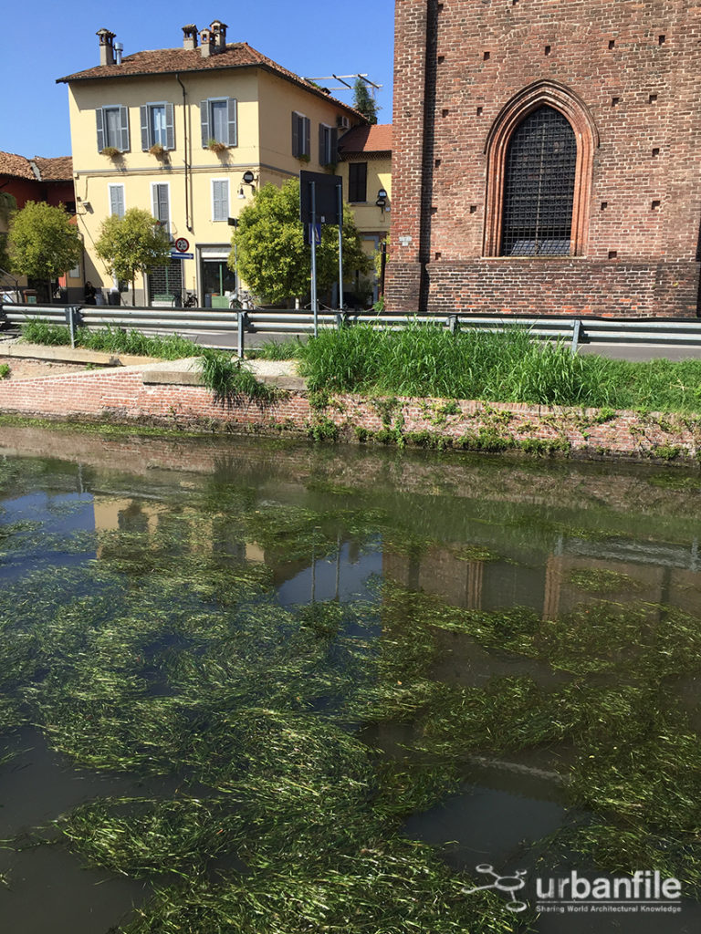 2016-09-07_Naviglio_Fresatura_Alghe_3
