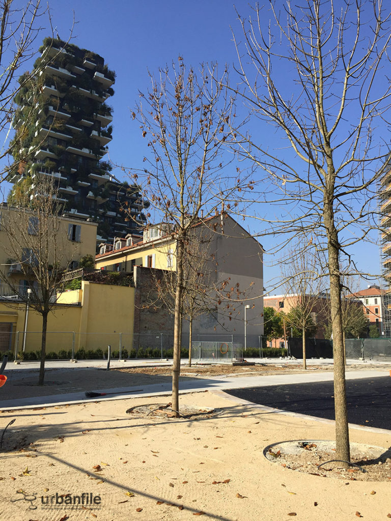 2016-10-29_biblioteca_alberi_isola_20