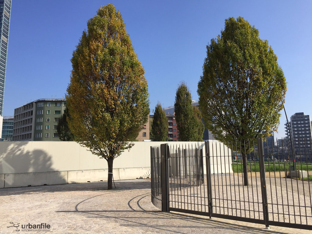 2016-10-29_biblioteca_alberi_isola_23