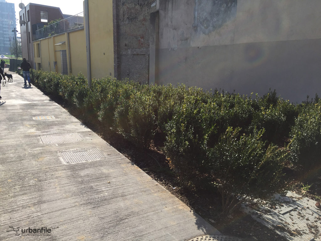 2016-10-29_biblioteca_alberi_isola_27