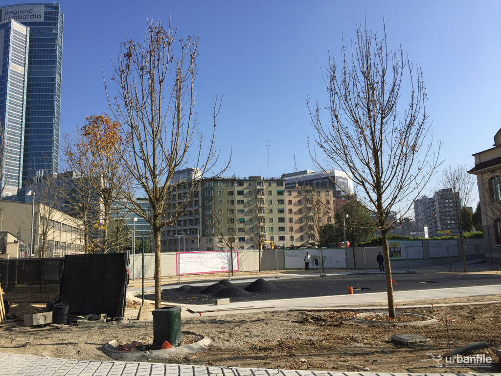 2016-10-29_biblioteca_alberi_isola_31