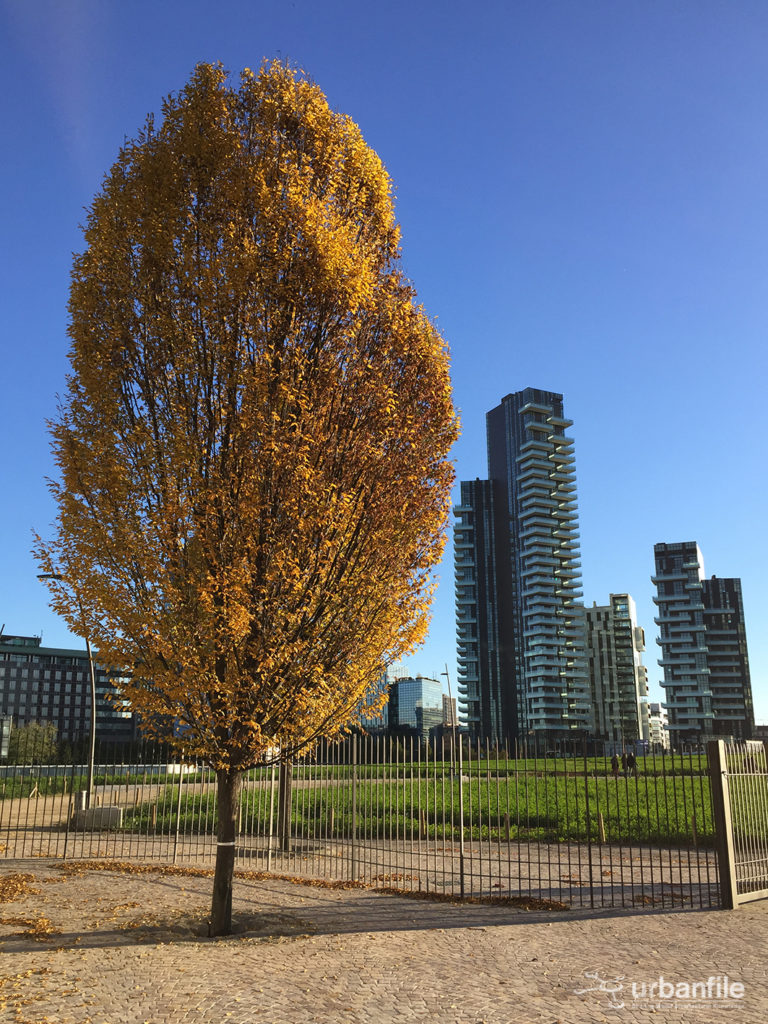 2016-11-12_biblioteca-degli-alberi_24