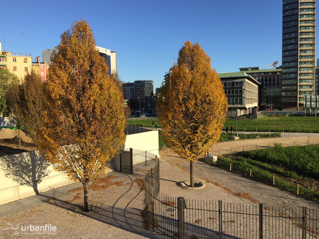 2016-11-12_biblioteca-degli-alberi_26