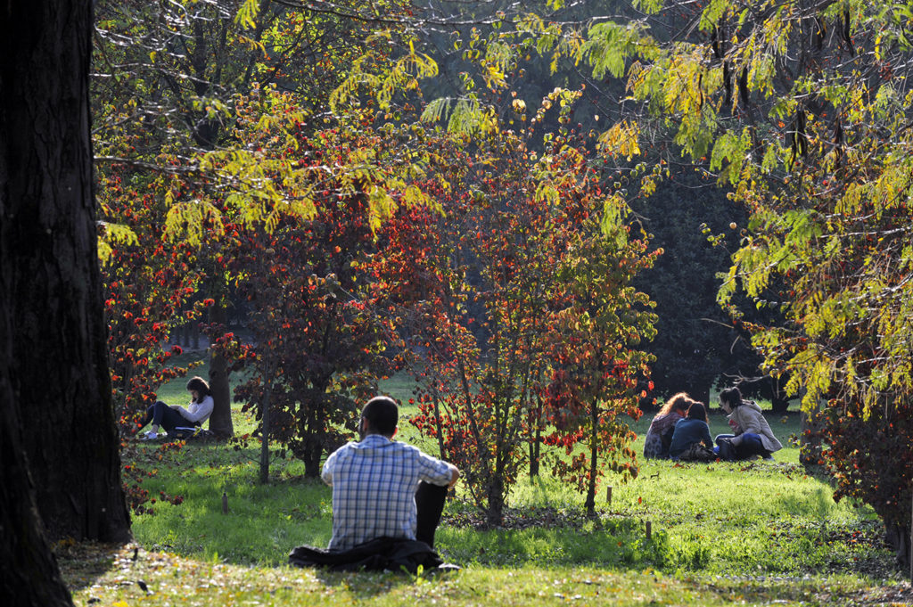 ottobre 2016 Parco Sempione