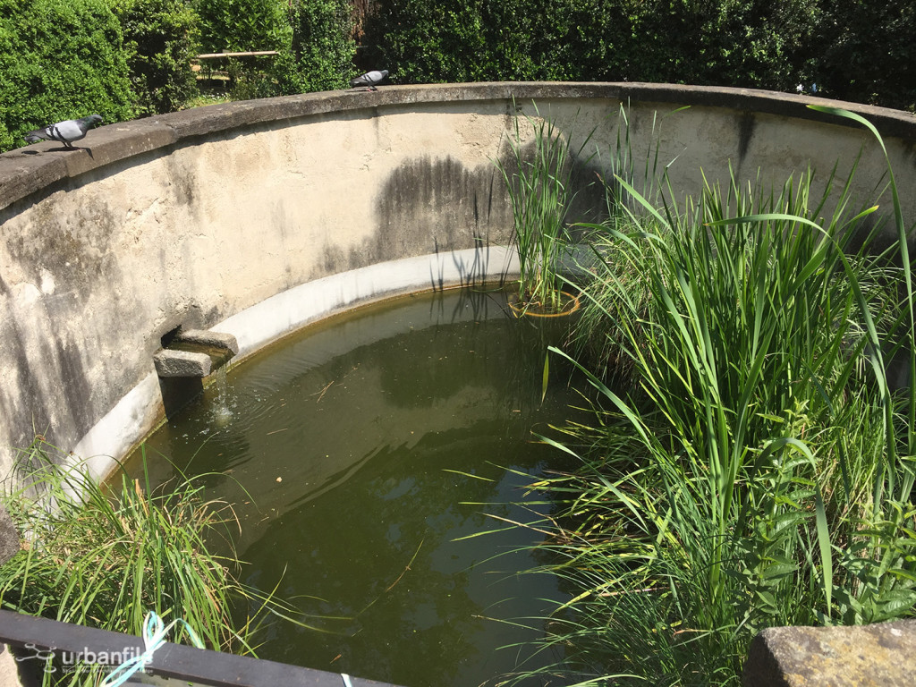 2015-04-18_Brera_Orto_BOtanico_12